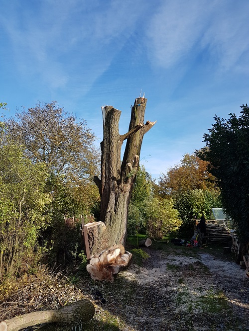 twee stukken uitlopers blijven over