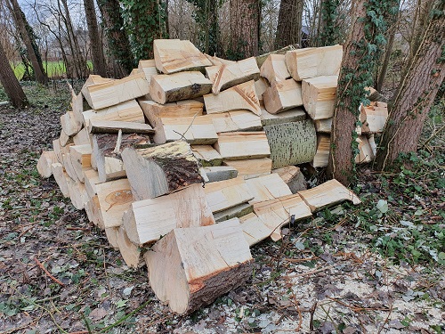 deel van het hout wat van de boom gekomen is