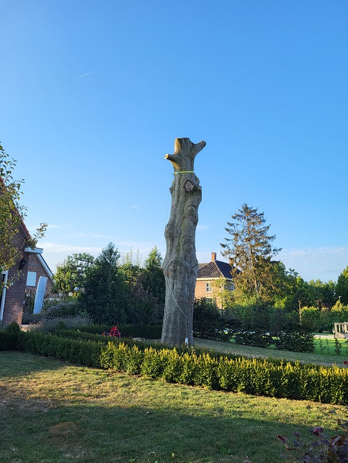 afblokken van de stam van een rode beuk