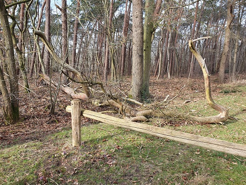 afgebroken den op pad van staatsbosbeheer