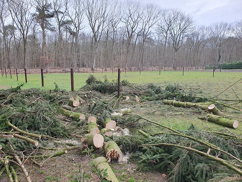 stormschade bij paardenweide