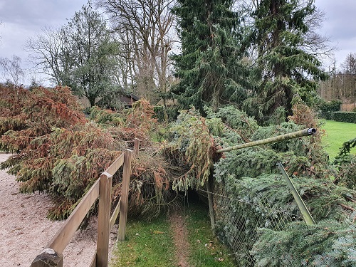 stormschade hekwerk