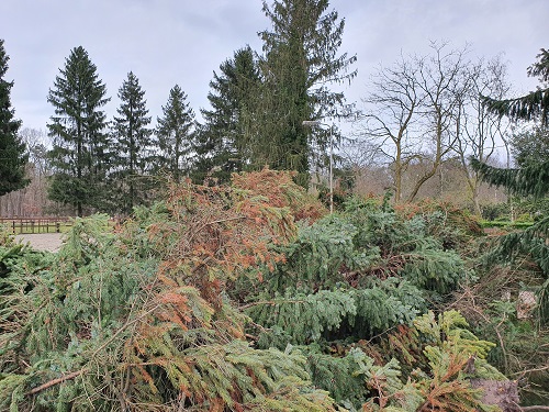 stormschade hekwerk grote berg bomen