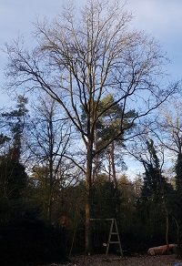 eik speelweide zon blokker