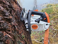 stihl ms193t in scheur van treurwilg