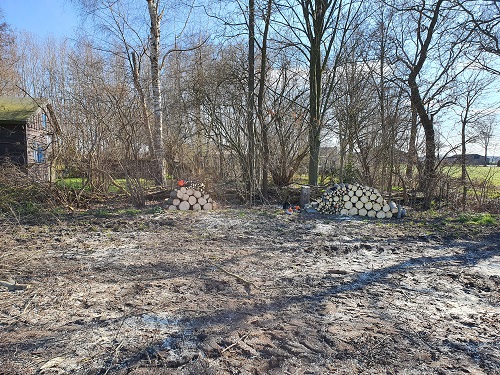 2 bomen verwijderd en verwerkt