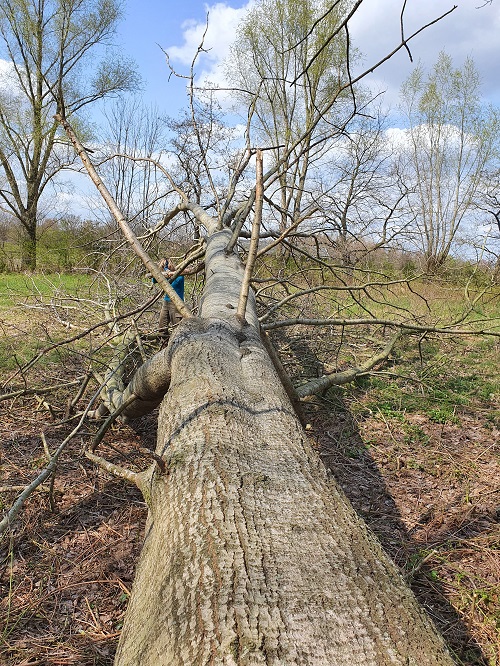 toch 20 meter wat er op de grond ligt