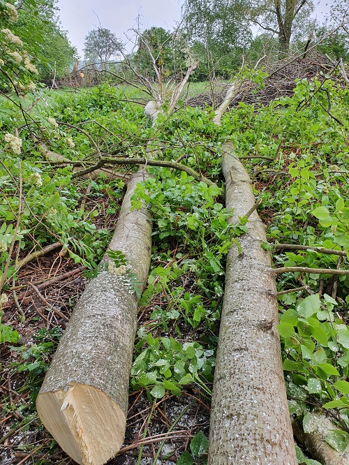 voorste 2 liggen op de grond