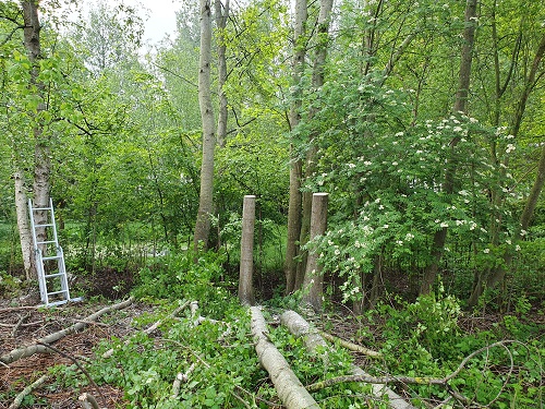 overzicht 2 afgezaagd op 1.80 meter hoog