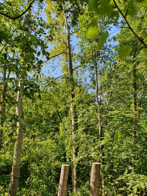 het pinnetje van 25 meter wat overbleef